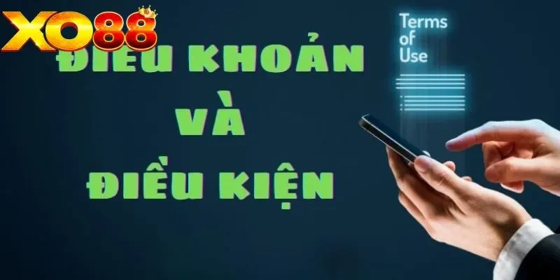 Lý do cần đưa ra điều khoản và điều kiện là gì?